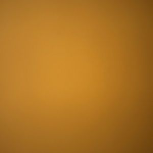 Meet your Posher, Mariah